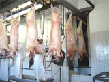 Frigoríficos em Parnamirim