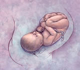 Obstetras e Obstetrícia em Parnamirim